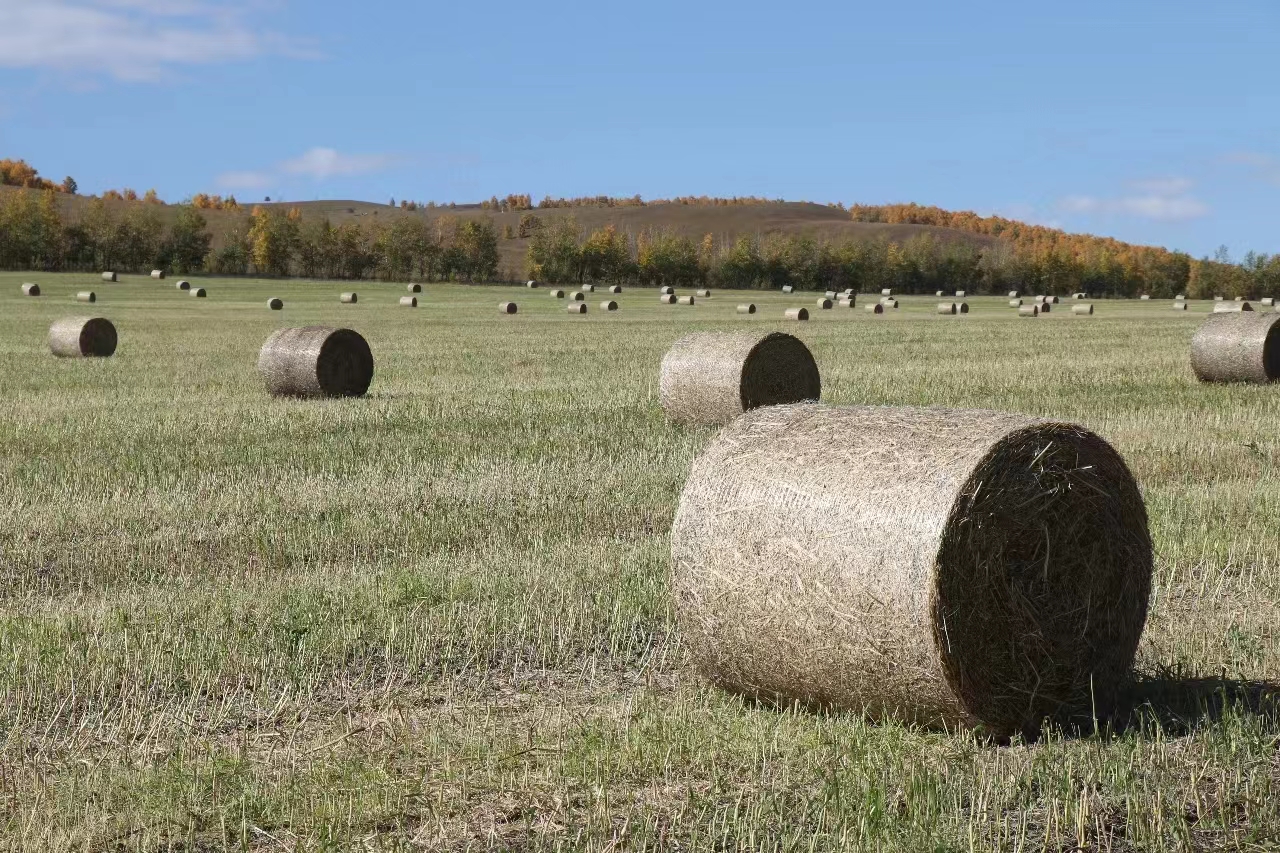 How to Choose the Right Baler Twine and Net Wrap?